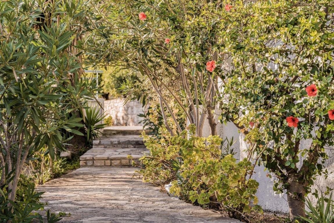 Vigla-Βίγλα 1 2 Villa Ormos  Ngoại thất bức ảnh