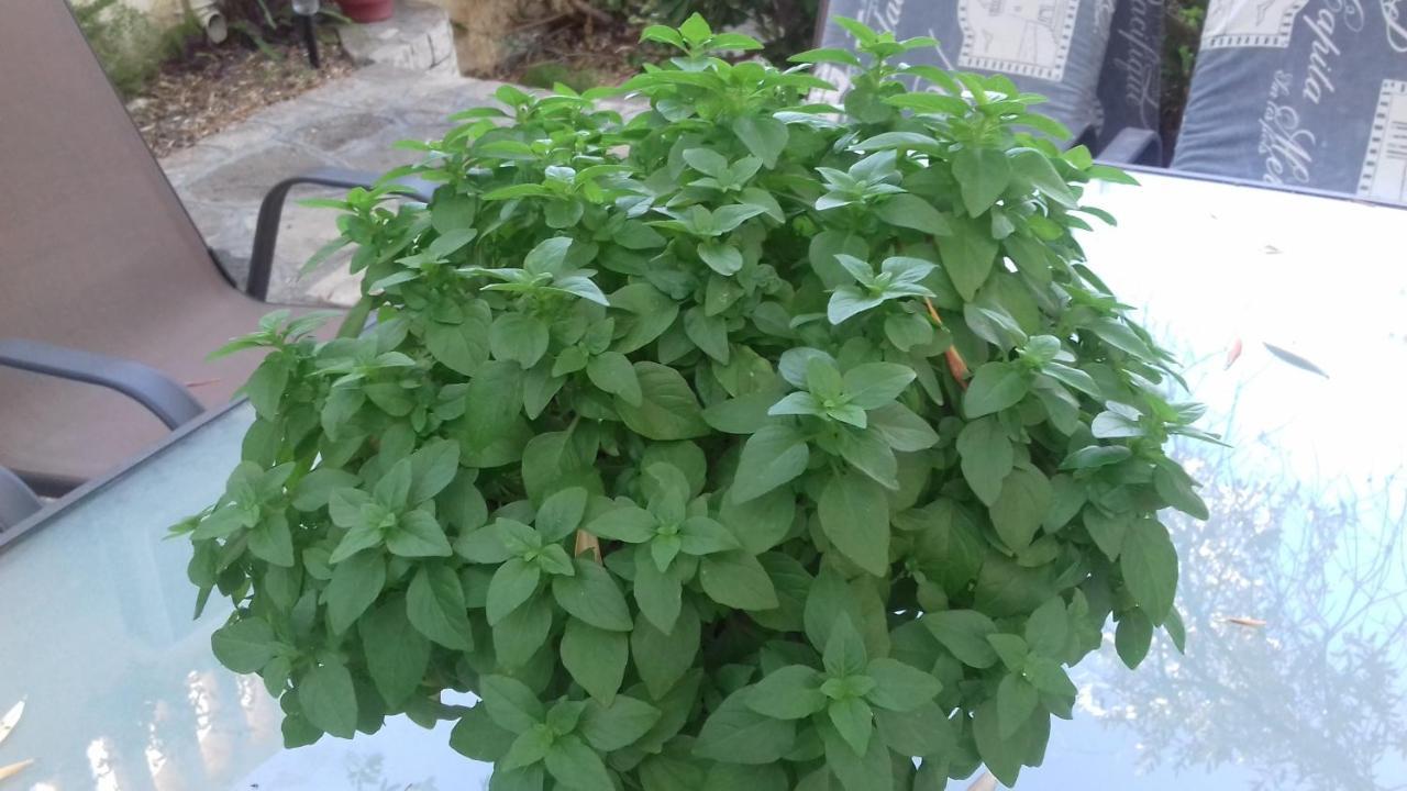 Vigla-Βίγλα 1 2 Villa Ormos  Ngoại thất bức ảnh